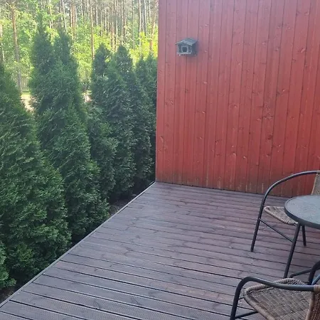 Kodumajutus Nb! For Female Quest Only! 1 20 M2 From 45 M2 Shared With Sunny Terrace For Rent Tallinn